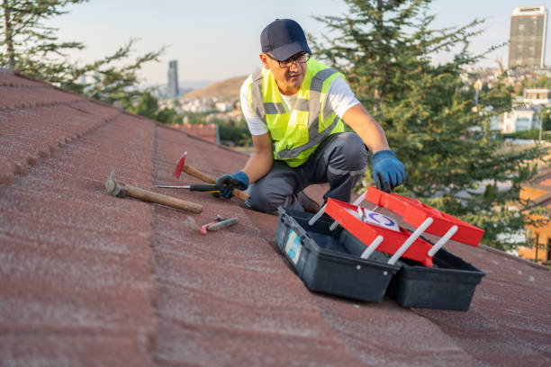 Best Hoarding Cleanup  in Shoreacres, TX